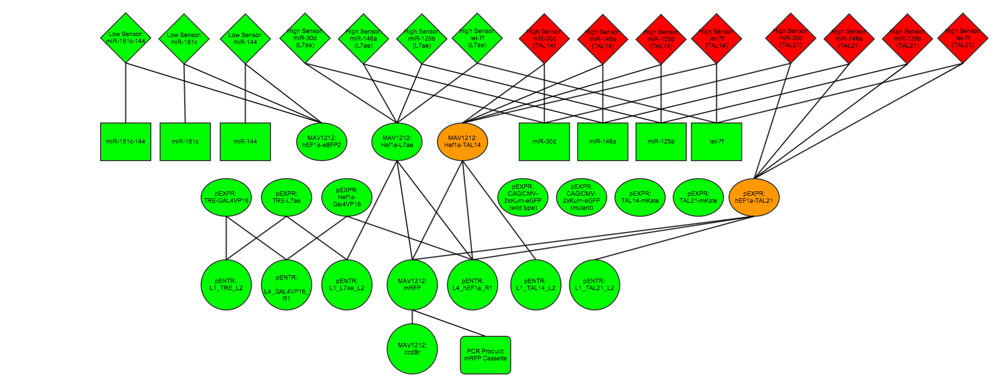 Repressor co-transfection experimental designs