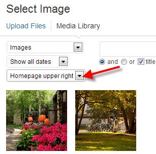 Libraries Marketing > Homepage spotlights & images > category-options.jpg